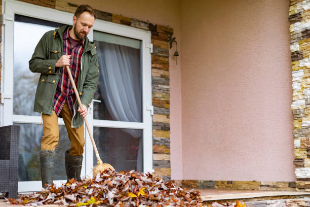 Best Dumpster Rental Services  in Lexington, MN